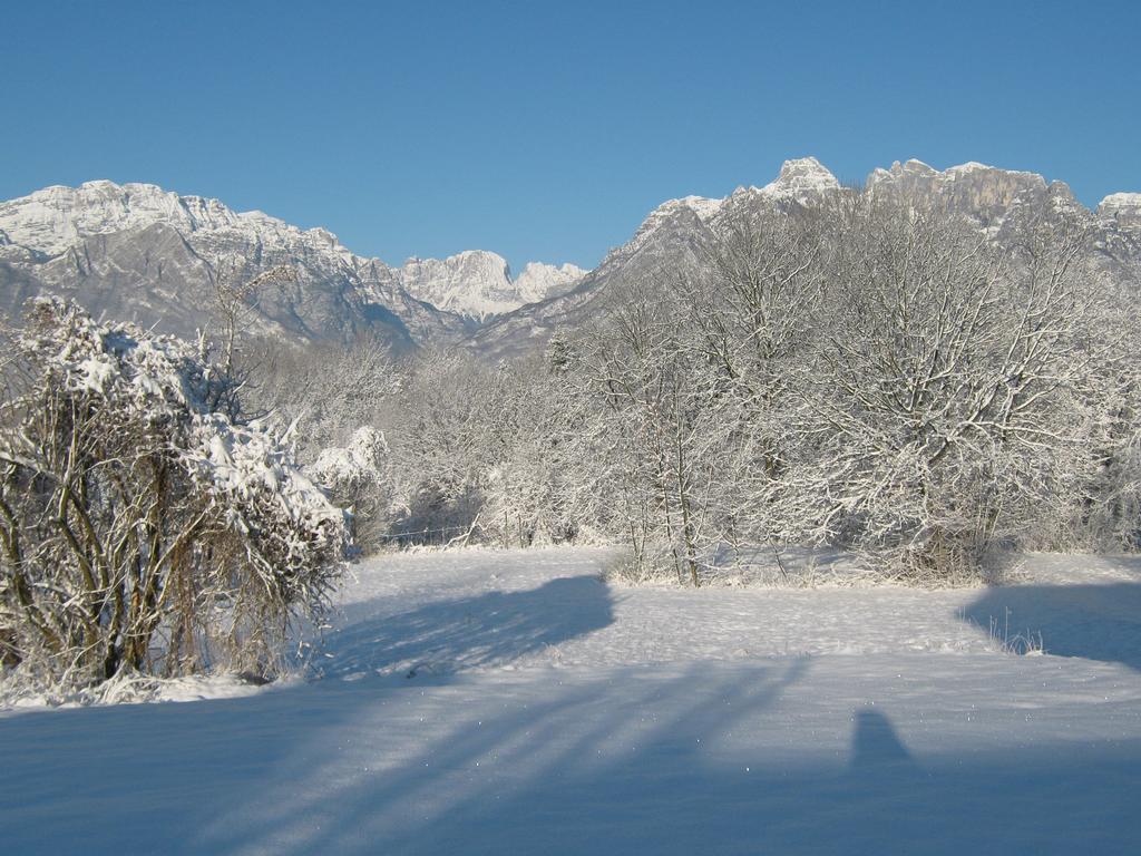 B&B Col Del Vin Белуно Екстериор снимка