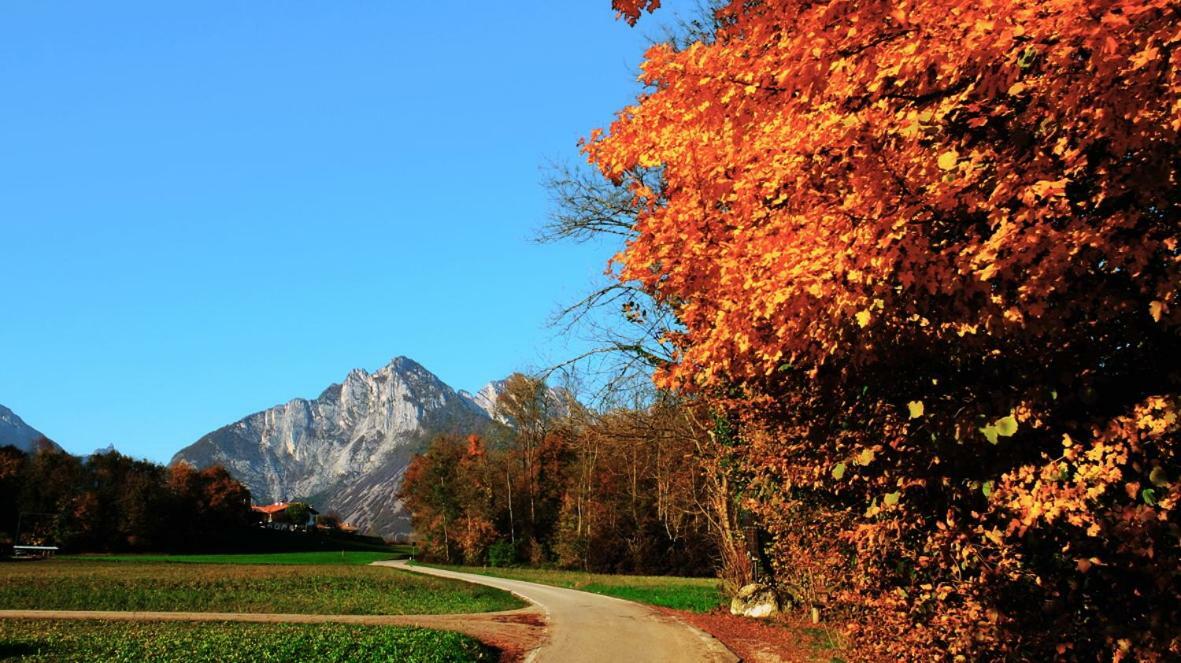 B&B Col Del Vin Белуно Екстериор снимка