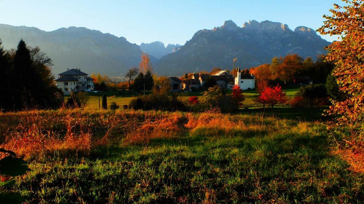 B&B Col Del Vin Белуно Екстериор снимка