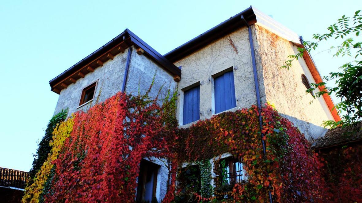 B&B Col Del Vin Белуно Екстериор снимка